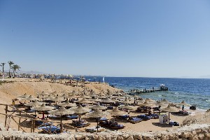 Amphoras Beach 5* (5*)