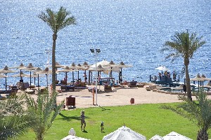 Amphoras Beach 5* (5*)