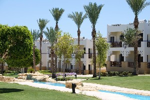 Amphoras Beach 5* (5*)