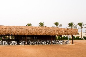 Hotel AURORA ORIENTAL RESORT wakacje