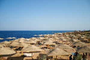 Falcon Hills Sharm 3* 