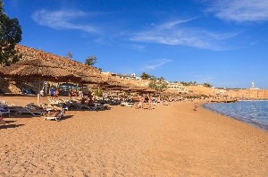 Hotel FARAANA REEF RESORT wakacje