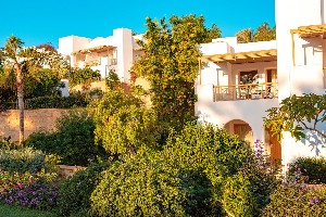 Hotel NOVOTEL PALM wakacje