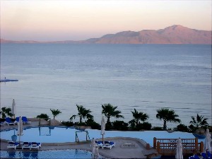 Albatros Palace Resort Sharm El Sheikh 5* (5*)