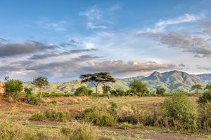 ET - Ethiopia