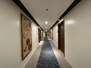 Miscellaneous