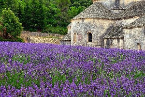 Francie, Alpes de Haute Provence - Provence, vůně levandule - autobusem