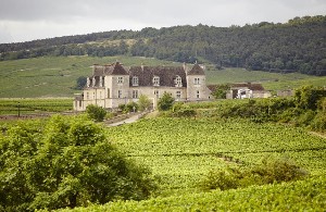 (Francie) - Beaujolais a Burgundsko, kláštery a slavnost vína