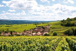 Francie, Burgundsko, Burgundsko, Francie, Franche-Comté, Franche-Comté - Burgundsko, Champagne, víno a katedrály