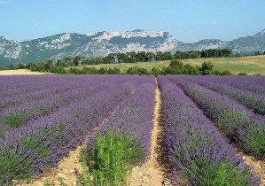 Francie, Francouzská riviéra, Arles - Krásy Provence a Francouzské riviéry