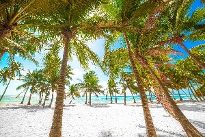 Pláže na Guadeloupe