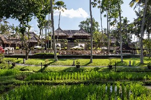 Hotel THE UBUD VILLAGE RESORT & SPA wakacje