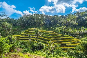 Hotel EXIMdiscovery – Bali: Duchy wyspy, świątynie i tropikalny relaks (Standard) wakacje