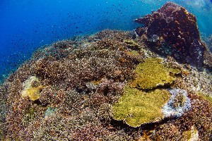 Hotel EXIMdiscovery – Bali i Flores: Smoki, plaże i tropikalna przygoda wakacje