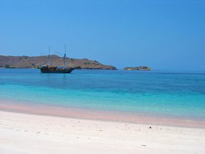 Komodo