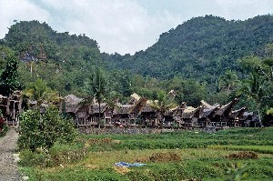Indonésie, Sulawesi, Sulawesi-Celebes - Indonéské kontrasty - Bali a země Torajů