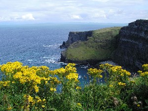 Irsko   Cliffs of Moher 5