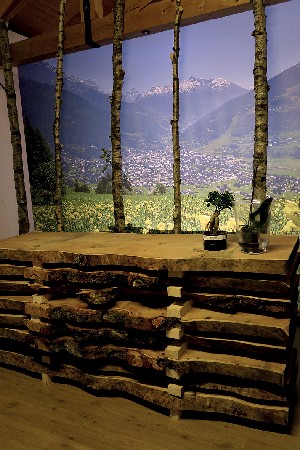 Hotel REZYDENCJA ERIKA wakacje