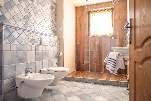 Hotel ALPINO LODGE wakacje