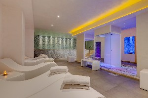 Spa and wellness