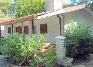 Viola Club Village