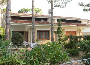 Vila