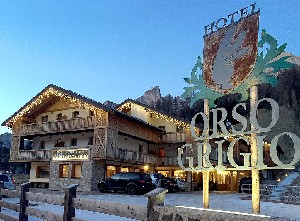 Hotel ORSO GRIGIO wakacje