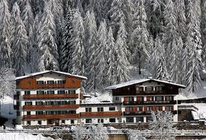 Hotel Des Alpes, Cortina (2)