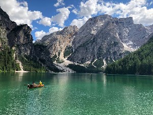 IMG_4478
