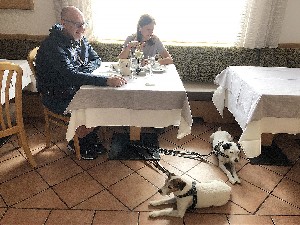 Hotel ALPINE HOTEL TOURING wakacje