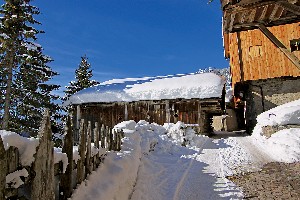 Hotel CHALET PIAN wakacje