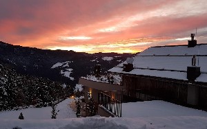 Hotel GFELL wakacje