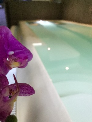 Hotel PARK HOTEL AVISIO wakacje