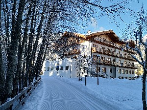 Hotel PARK HOTEL AVISIO wakacje