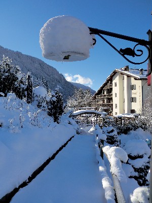 Hotel PARK HOTEL BELVEDERE wakacje