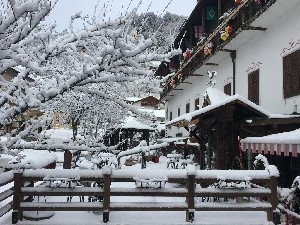 Itálie, Dolomiti Superski, Val di Fiemme/Obereggen - ANCORA - MOLINA DI FIEMME