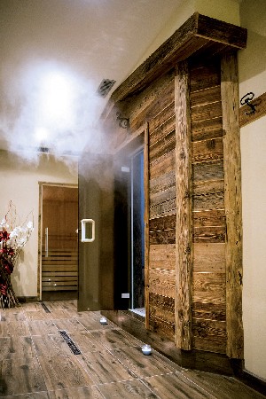 Hotel APARTHOTEL DES ALPES wakacje