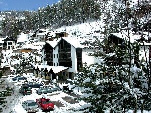 Hotel APARTHOTEL DES ALPES wakacje