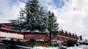 Hotel PARK HOTEL BELLACOSTA wakacje