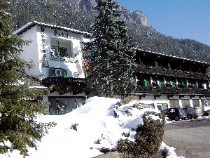 Hotel PARK HOTEL REGINA DELLE DOLOMITI wakacje