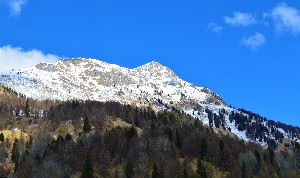 Hotel STELLA ALPINA BELLAMONTE wakacje