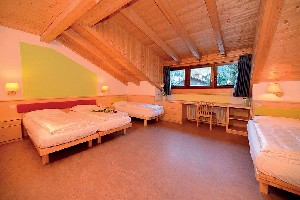 Hotel ALPIN HAUS SMART & FAMILY wakacje