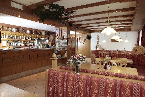 Hotel ALPINO PLAN wakacje