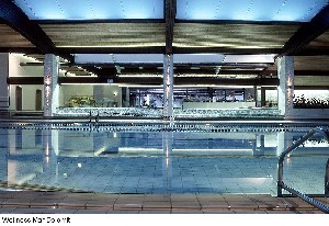 Hotel VILLA EMILIA wakacje