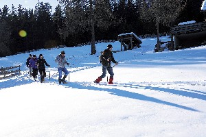 Hotel NATUR & AKTIV HOTEL ROGEN wakacje
