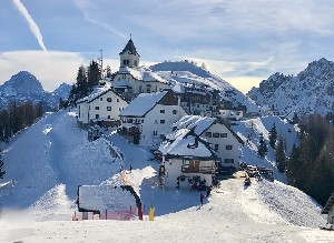 Itálie, Friuli Skiregion, Itálie, Friuli Skiregion, Valbruna - RODODENDRO