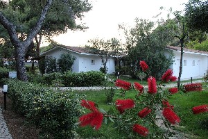 bungalows