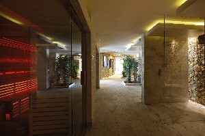 Spa and wellness