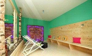 Spa and wellness