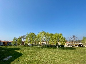 Hotel BELVEDERE VILLAGE wakacje